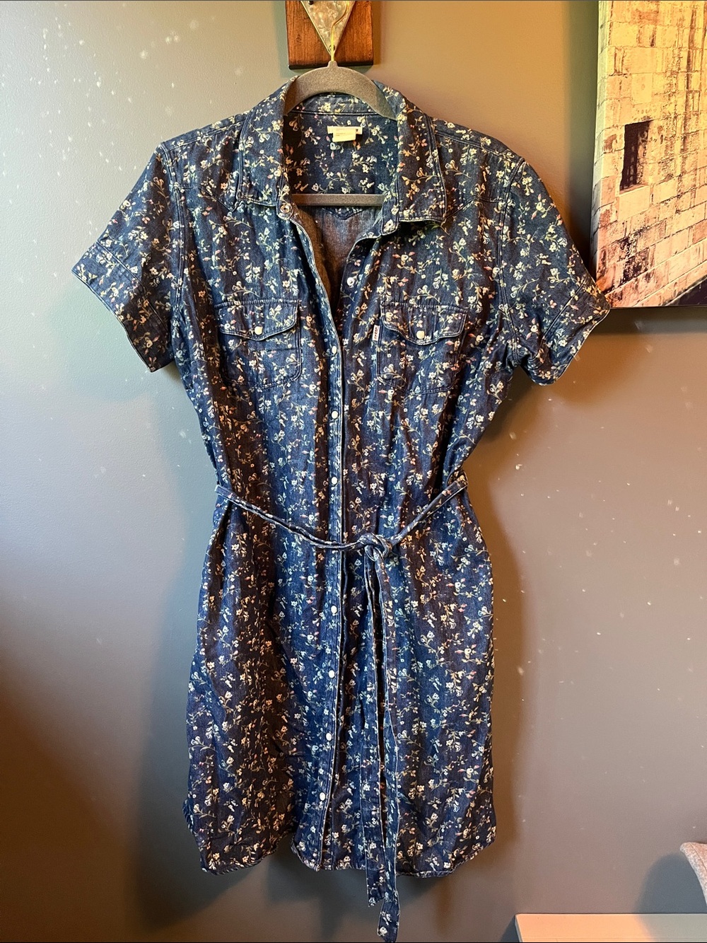 Levi Denim Dress